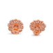 Thumb_E518-p5-back-2.JPG